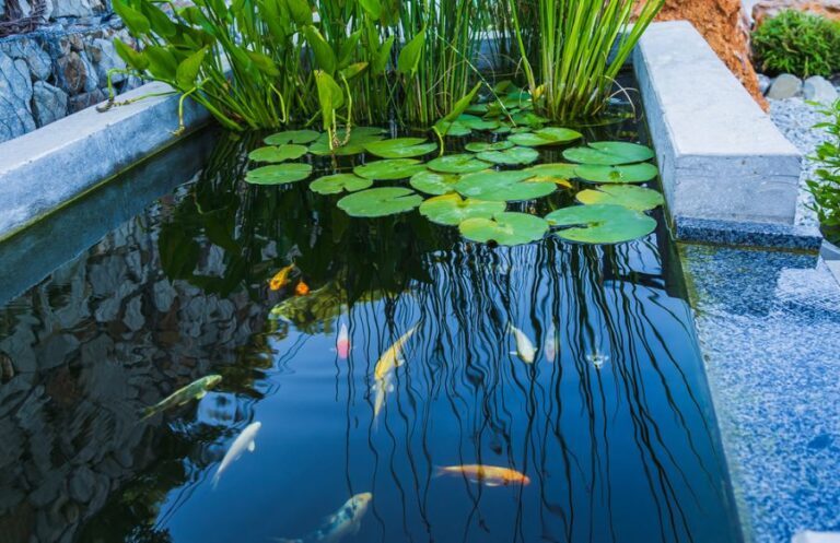 Rectangular Concrete Koi Pond