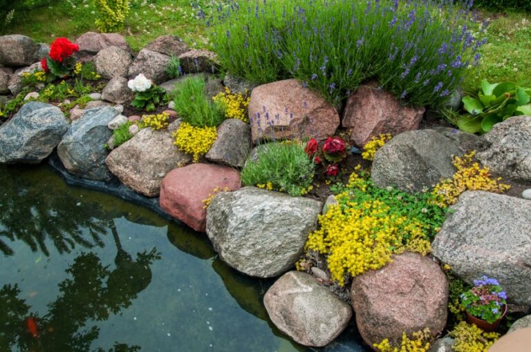 Small Backyard Pond With Lowering Water Levels Surrounded By Rocks and Plants