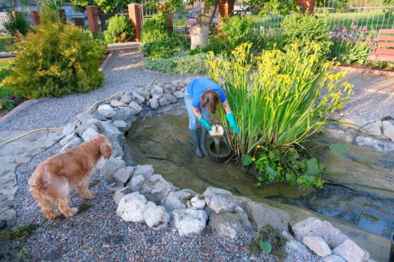 Woman Cleaning the Sludge and Plants Out of a Pond