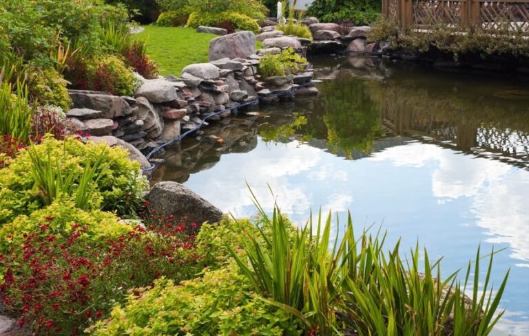 Beautiful Backyard Pond With Fish and Landscaping