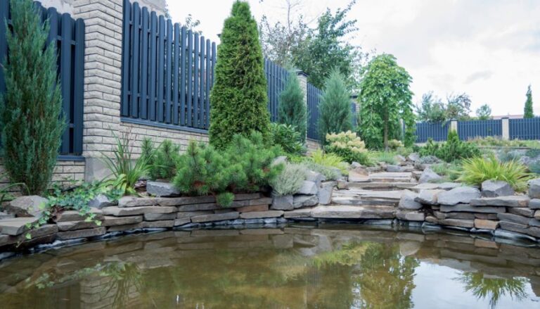 Beautiful Backyard Pond With Modern Landscaping