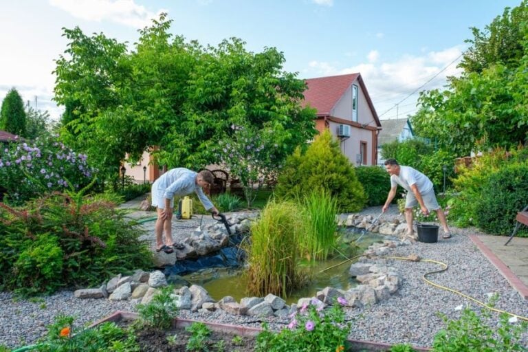 Dredging and Cleaning of a Small Pond