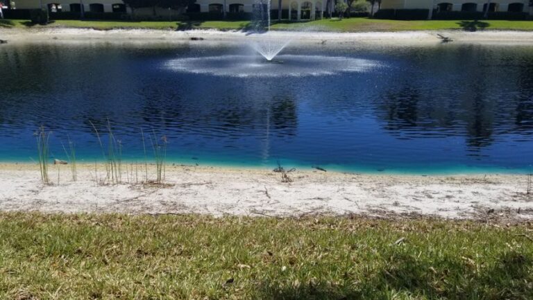 Large Pond With a Fountain That Has Been Dyed Blue