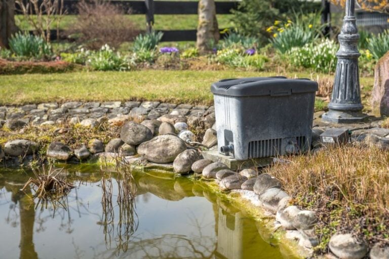 Pond Filter on the Edge of a Dirty Pond