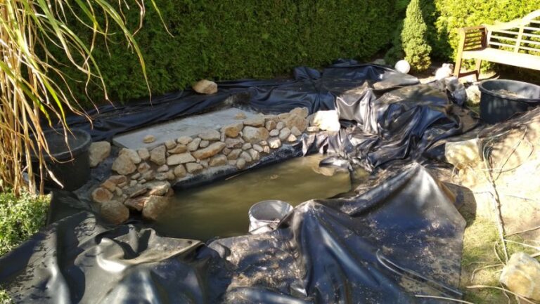 Pond Liner for a Backyard Pond