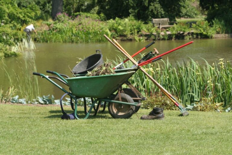 Several Different Garden Tools in a Wheelbarrow Near a Pond
