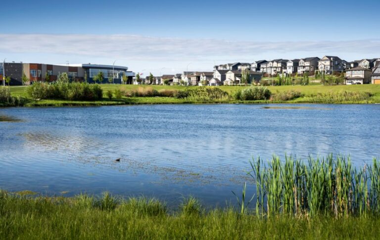 Storm Retention Pond Behind Apartment Buildings