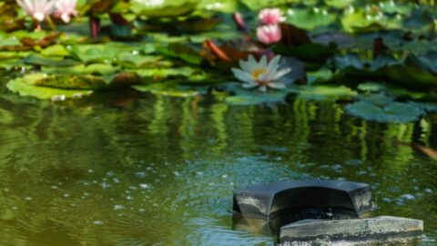 How Do Pond Skimmers Work? (Mystery Solved) - My Backyard Life