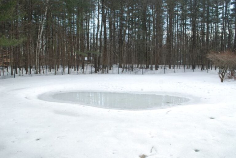 Small Pond Frozen in the Winter