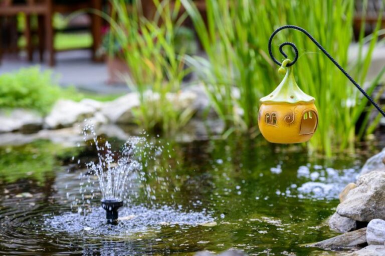 Backyard Pond With a Fountain and Plants