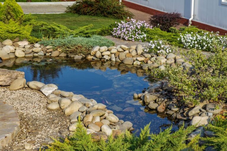 Beautiful Backyard Pond Surrounded by Rocks and Greenery