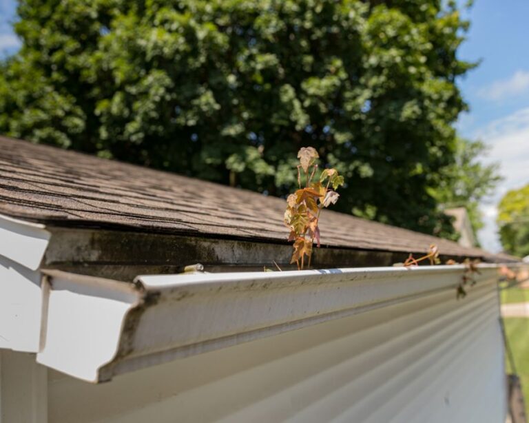 Dirty Aluminum Gutters on a White House