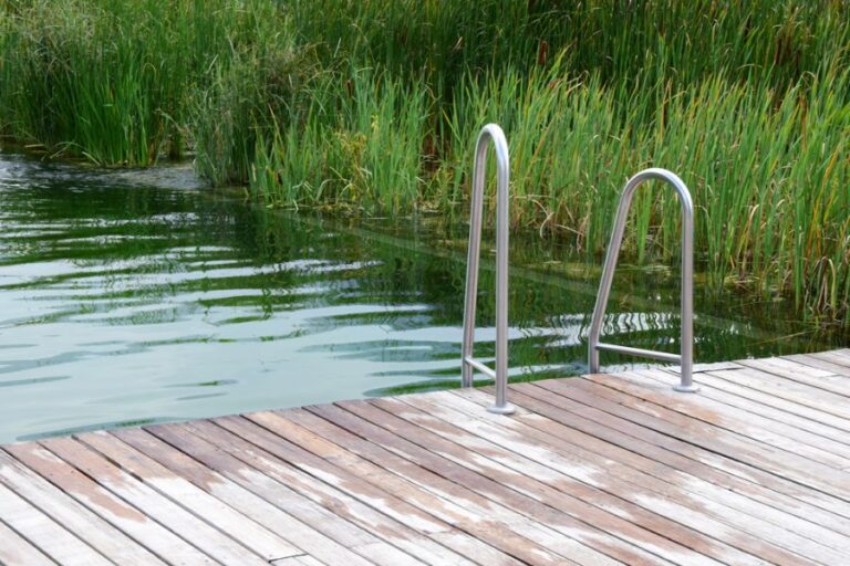 Ladder Attached to Dock on a Pond