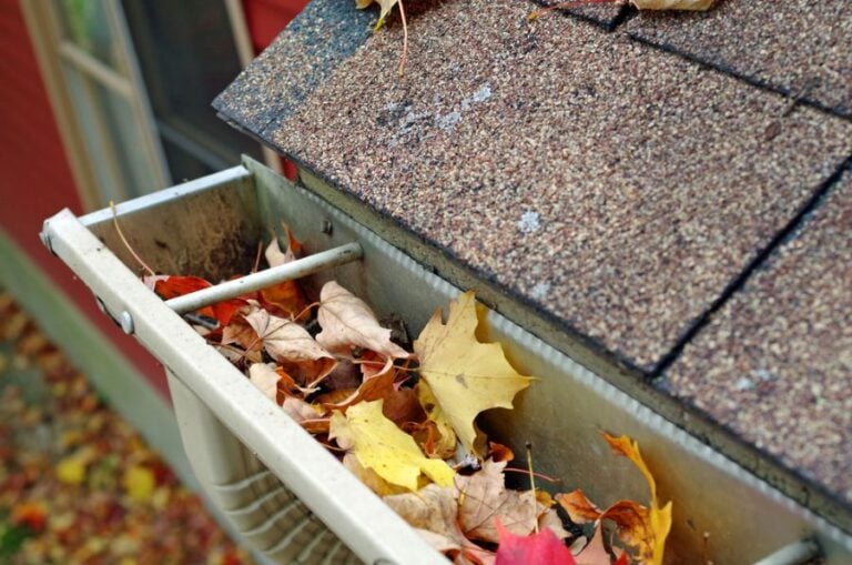 Downspout Clogged by Leaves and Debris