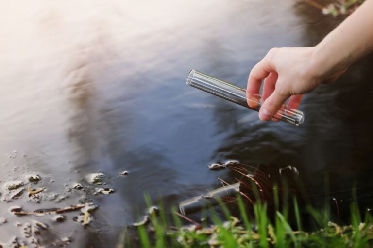 Gathering a Water Sample from a Pond for Testing
