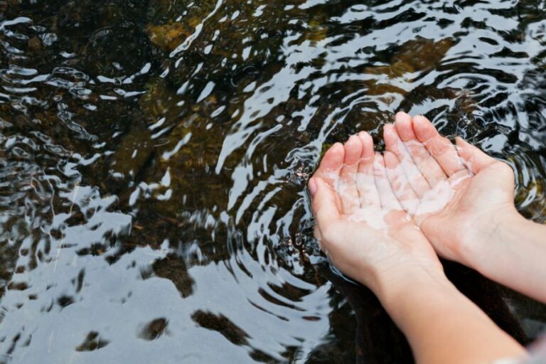 Woman Scooping Up Handful of Clear Water in Pond