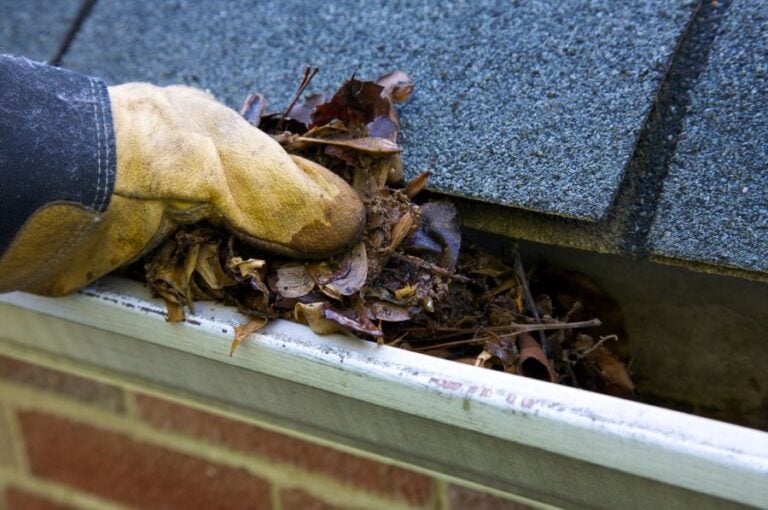 Removing Leaves from Clogged Gutters