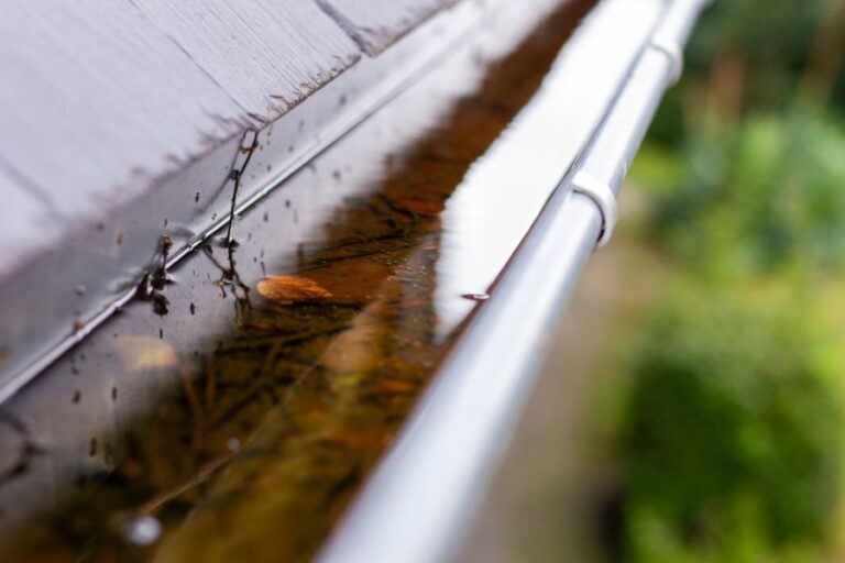 Water Pooled in Gutter