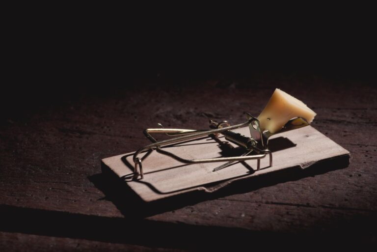 Mouse Trap