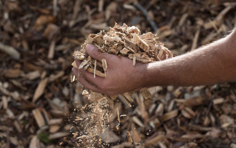 Hands Full of Wood Chips