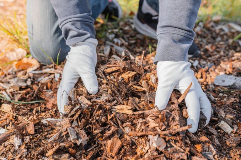 Putting Down Mulch