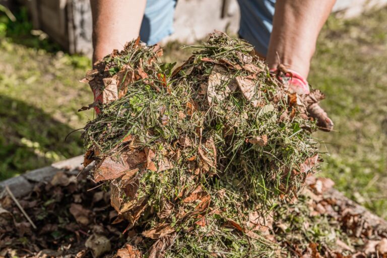 Compost Close Up