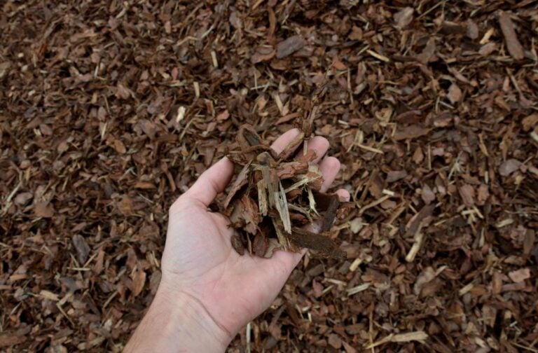 Handful of Mulch
