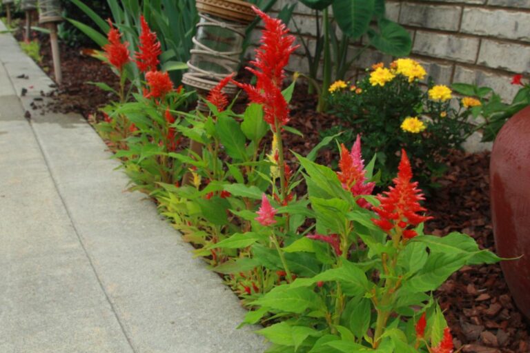 Flower Beds With Red Rubber Mulch