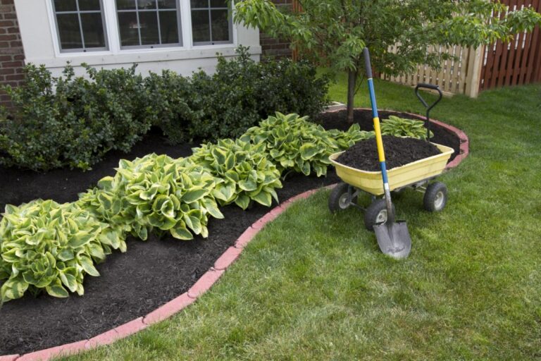 Mulch Laid Down From a Wheelbarrow in a Garden Bed