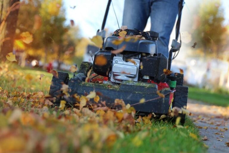 Mowing a Lawn and Mulching Fallen Leaves