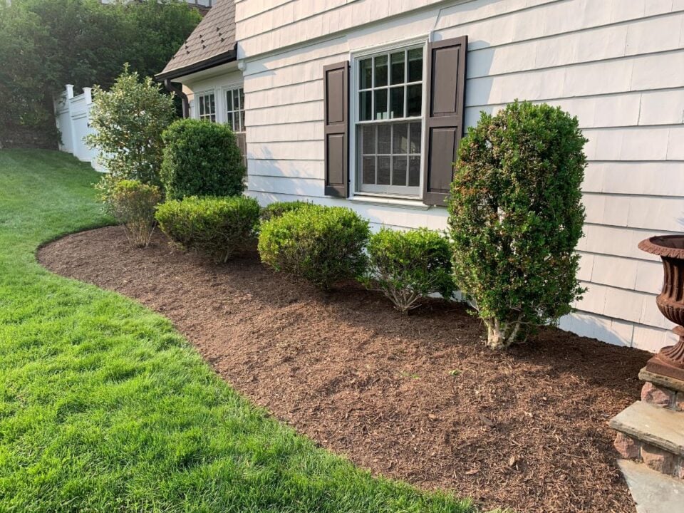 Give Your Plants a Nutrient Boost With This Simple Mulch and Soil ...